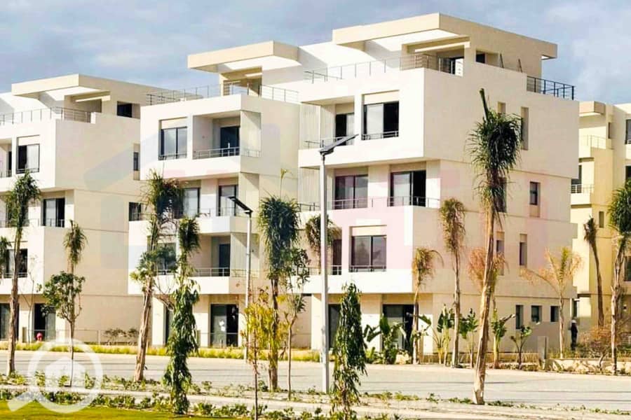 WhatsApp Image 2024-12-06 at 3.47. 21 AM. jpg