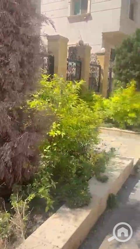 WhatsApp Video 2025-11-24 at 5.44. 40 AM_000003. jpg WhatsApp Video 2025-11-24 at 5.44. 40 AM_000003. jpg