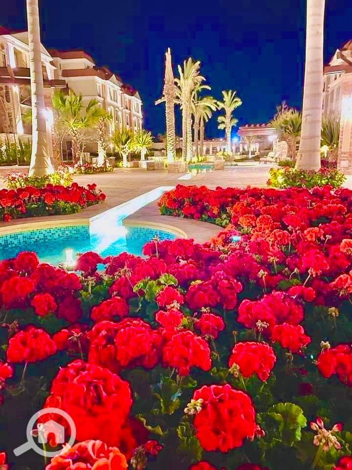 4 WhatsApp Image 2025-11-24 at 12.36. 14_c023b280. jpg