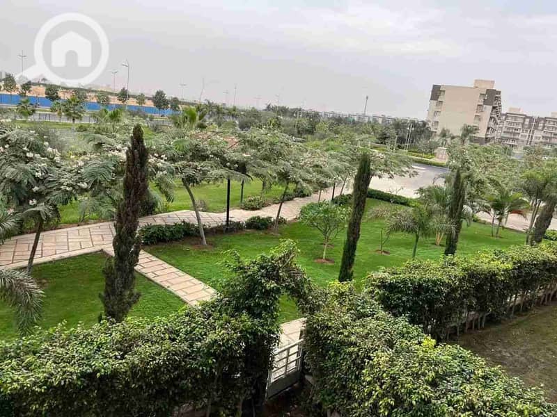 1001956957. jpg 1001956957. jpg