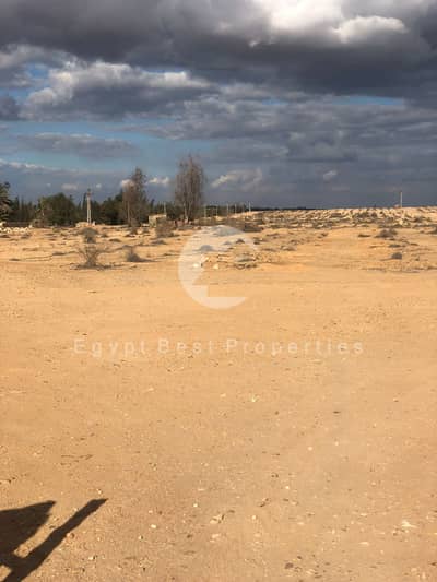 Residential Land for Sale in 6th of October, Giza - 1. jpg