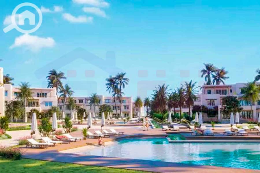 IMG-20250306-WA0036. jpg IMG-20250306-WA0036. jpg