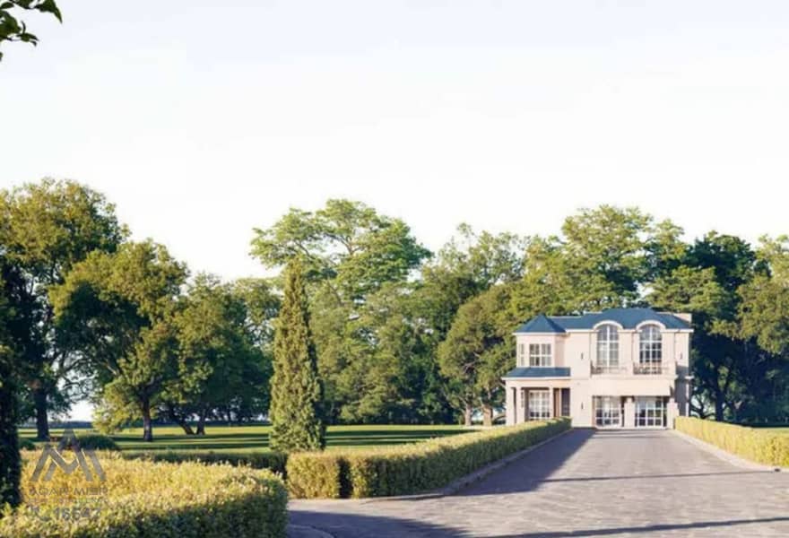 5 75a2c0bf-87f4-47f3-9cec-cef07ad3802a. jpg