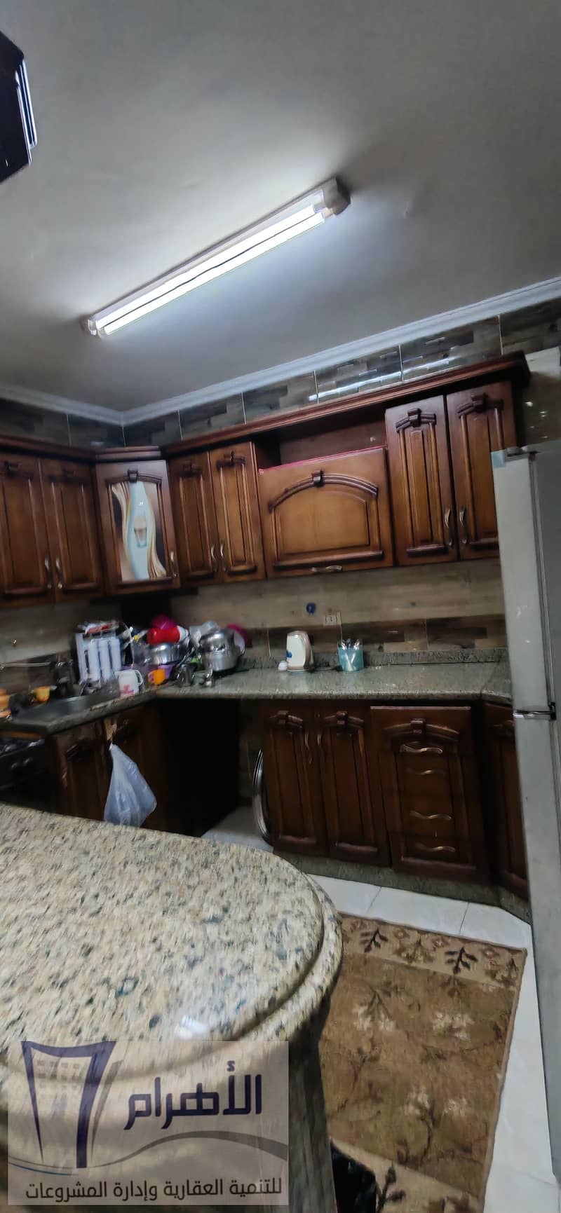 11 589260899_1150443050567228_2581872777064650925_n. jpg