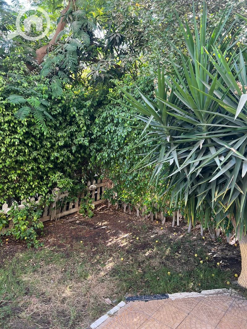 15 f66dde50-2d04-425a-943e-b8faf8cab38c. jpg