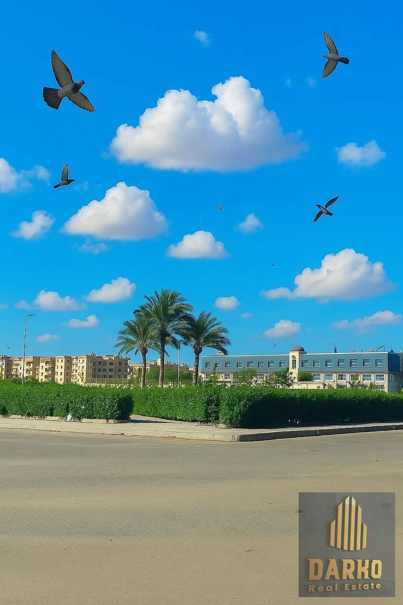 6 WhatsApp Image 2025-10-07 at 12.31. 43_1055315a. jpg