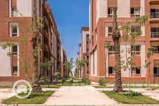 9 دجلة-بالمز-السادس-من-أكتوبر. jpg