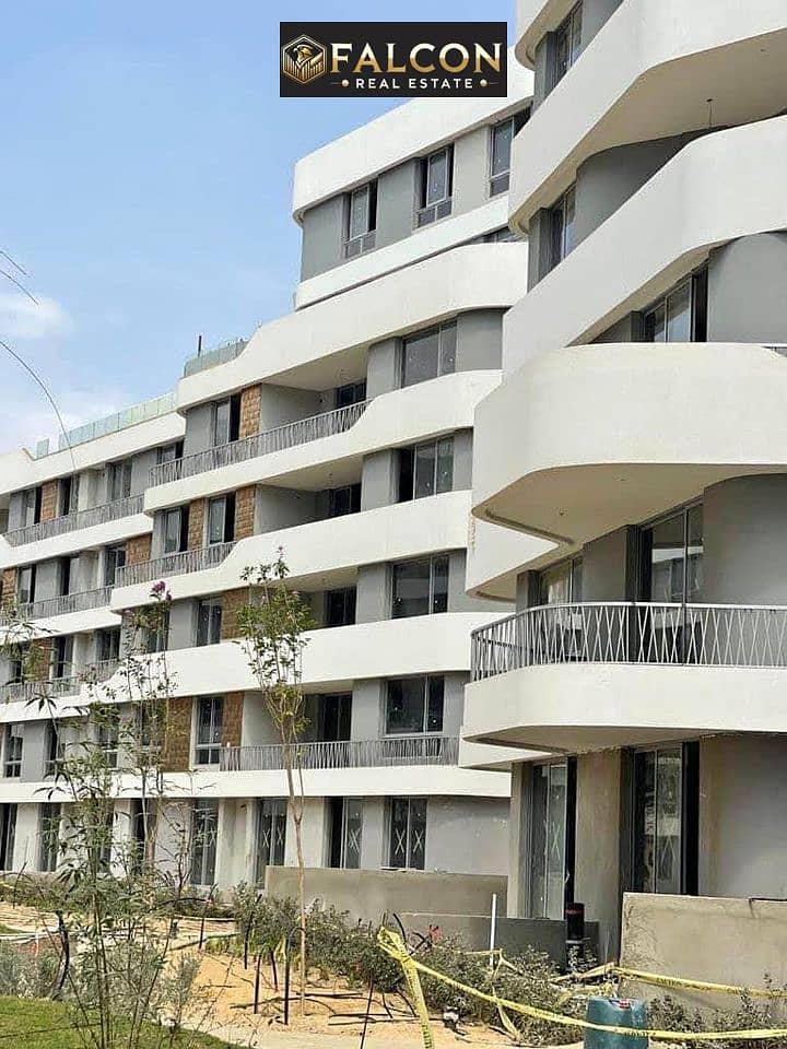 6 392718577_6642541192450316_4469909944614301175_n. jpg