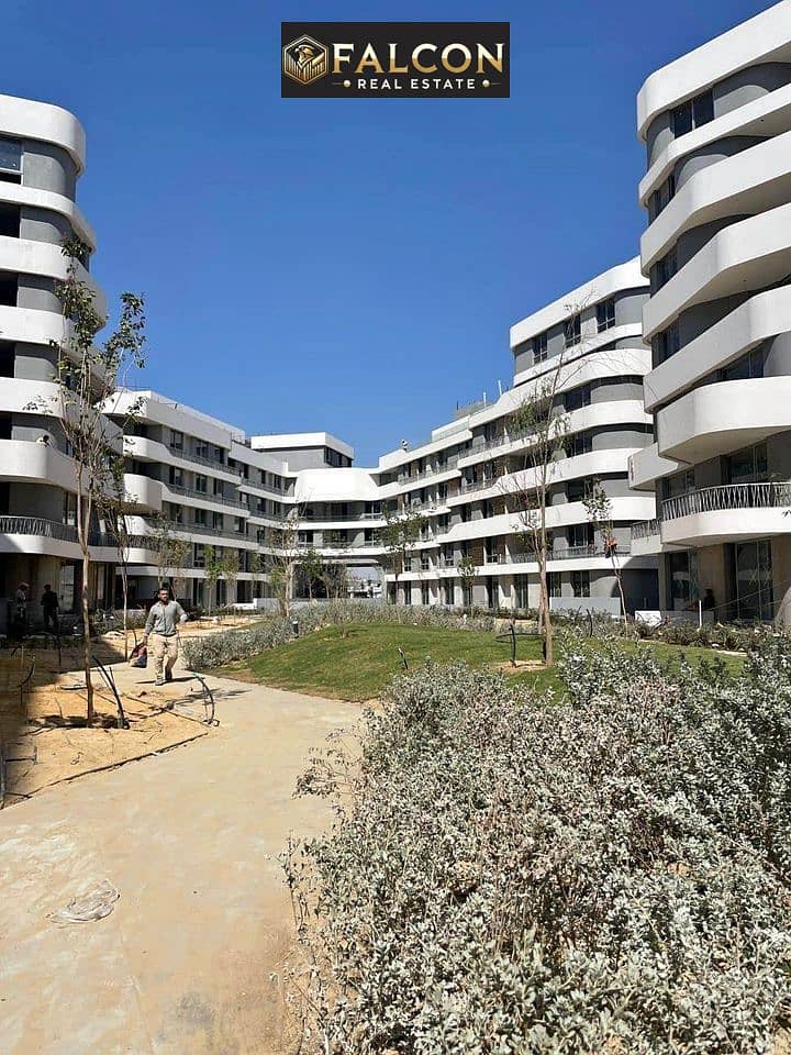 8 386394762_24046709161640794_6256872560721075300_n. jpg