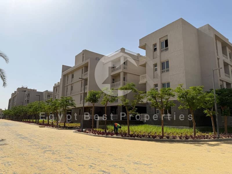 6 581241736_3592729424196879_6264112106454281925_n. jpg