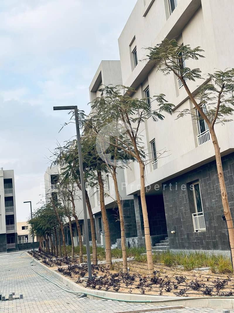 8 587476481_122131226900965441_772551996458653101_n. jpg