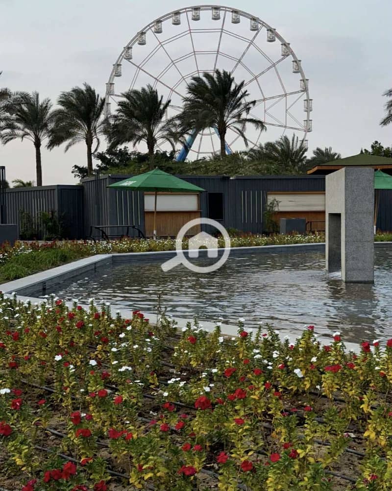 8 09c3d548-c1fb-4c0b-9a26-7c825e344ba0. jpg