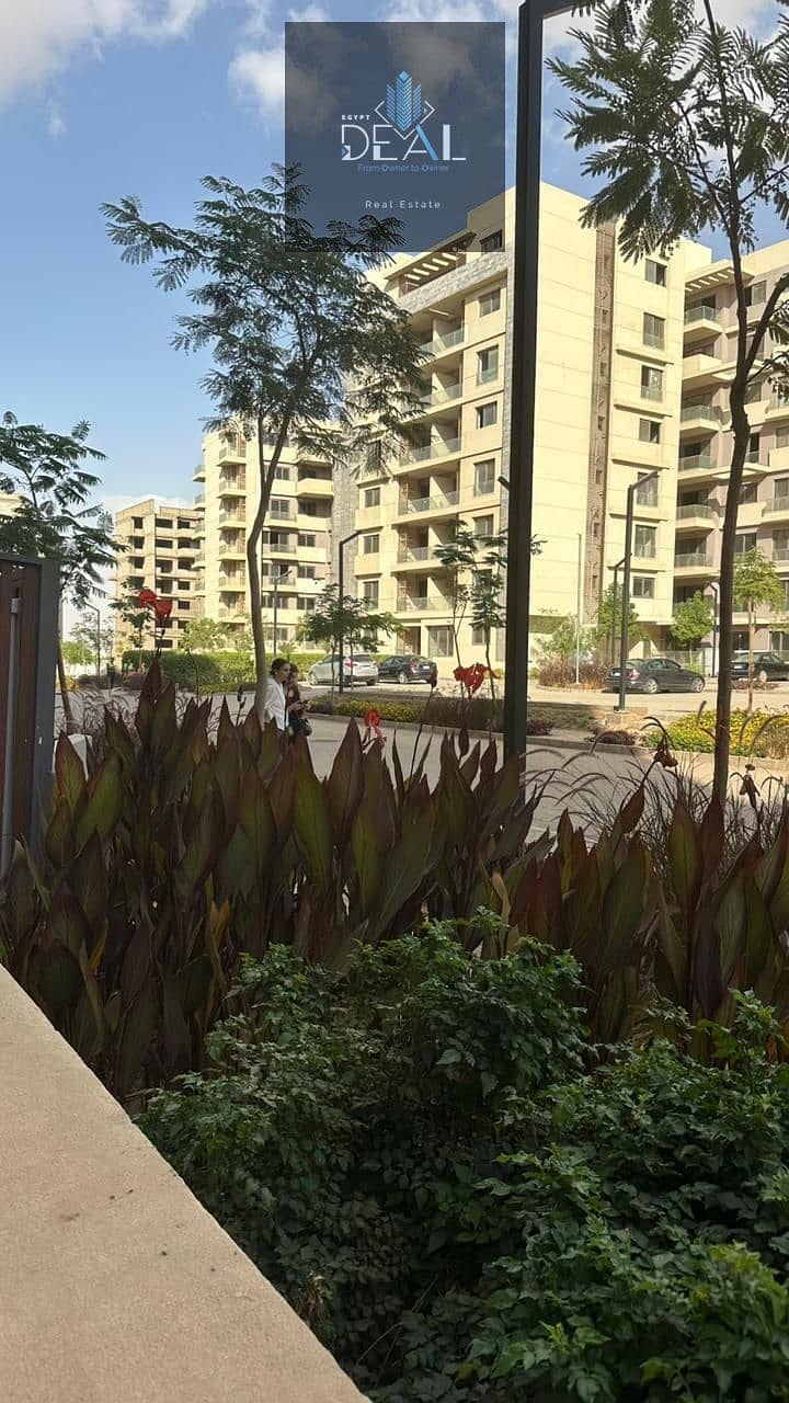 3 WhatsApp Image 2025-10-18 at 3.50. 26 PM. jpeg