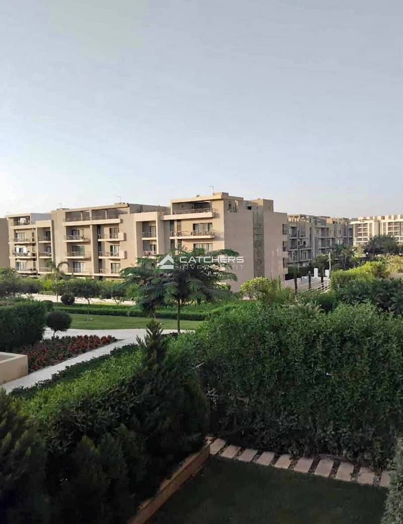 6 579899055_122156784884724863_8125686528659860532_n. jpg