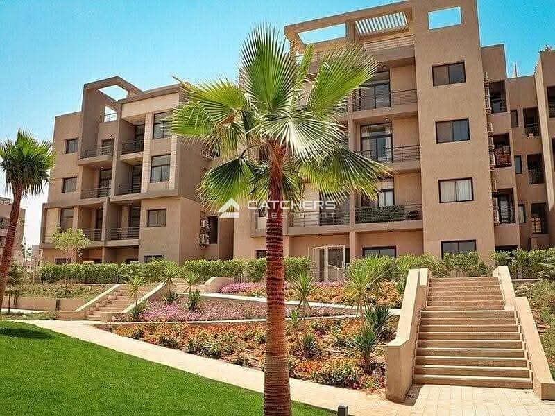 7 579972297_860348540283204_3199983438306797344_n. jpg