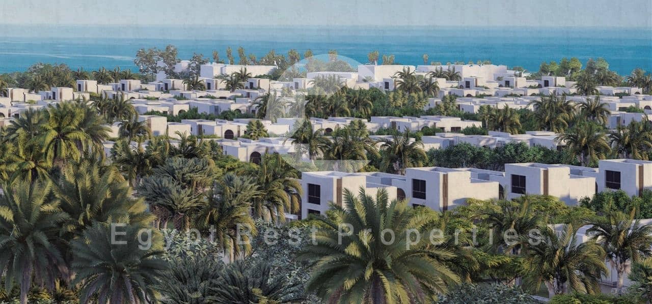 12 WhatsApp Image 2025-06-17 at 03.16. 22_32b7a9e0. jpg