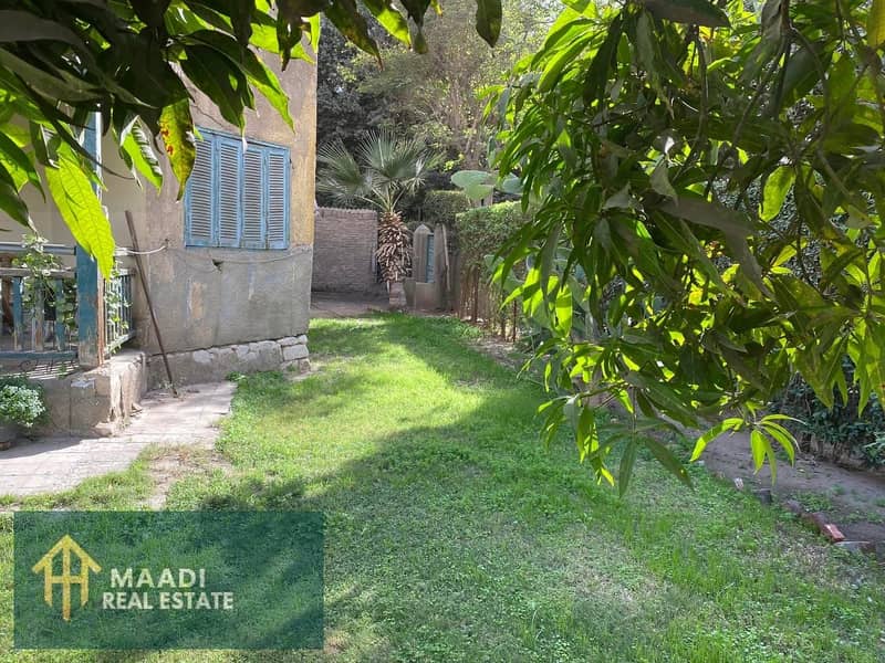 2 IMG-20251124-WA0150. jpg