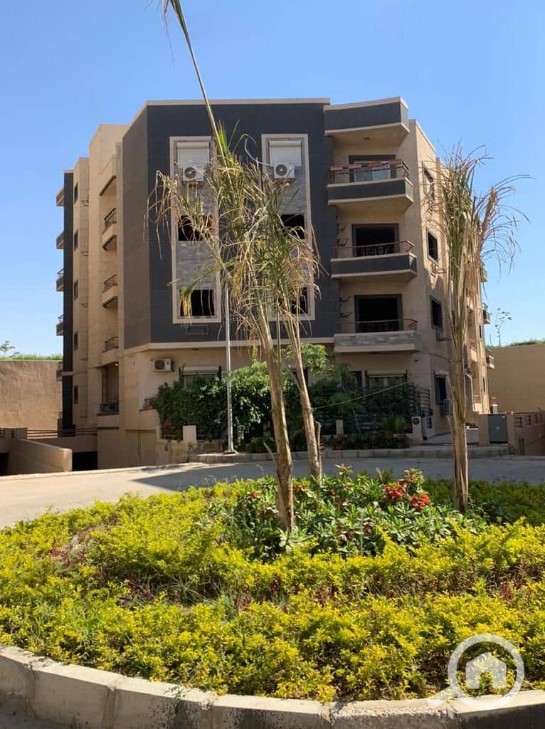 5 WhatsApp Image 2025-11-17 at 19.26. 10_8e5bc23d. jpg