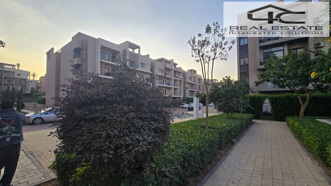 9 20251117_161730. jpg