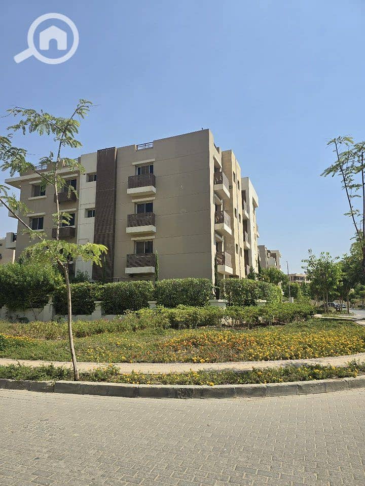 10 585029616_1910397483019437_7088953324354102021_n. jpg