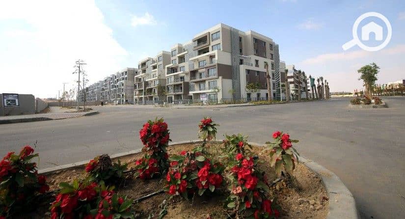 9 Screenshot 2025-09-29 142958. jpg