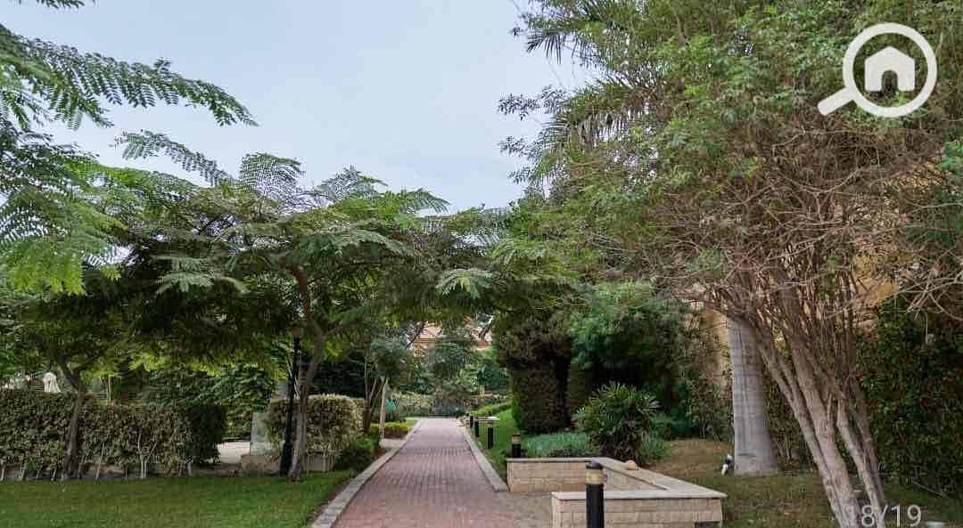 11 4d7106c3-807c-4f0a-9edc-01775463d4b8. jpg