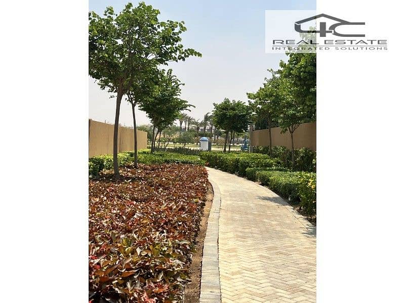 7 2023_06_20_11_00_IMG_9439. jpg