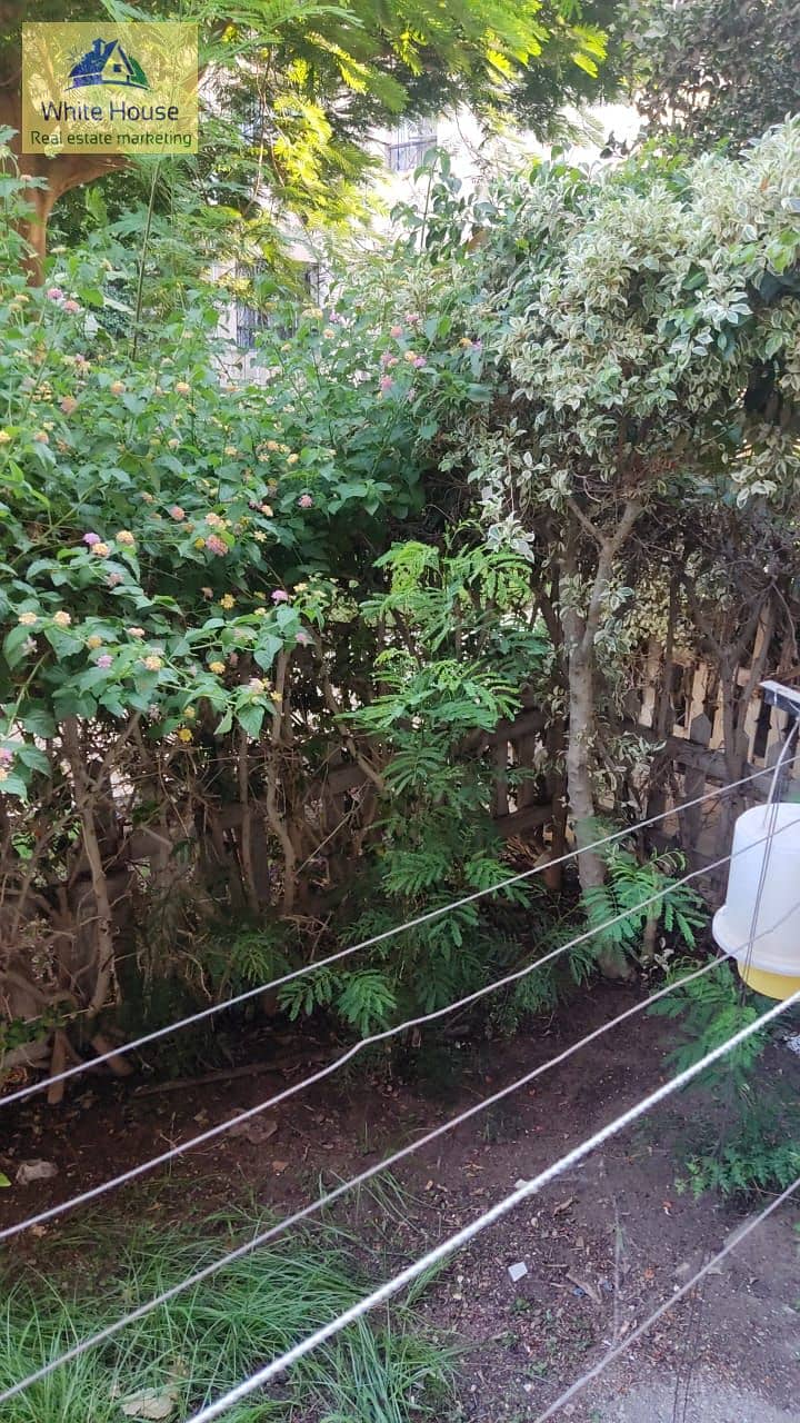 4 WhatsApp Image 2025-11-23 at 11.50. 44 AM (1). jpeg