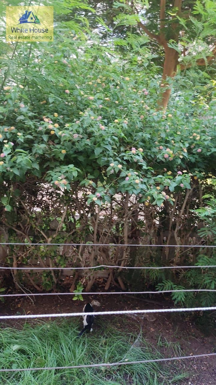 5 WhatsApp Image 2025-11-23 at 11.50. 43 AM (2). jpeg