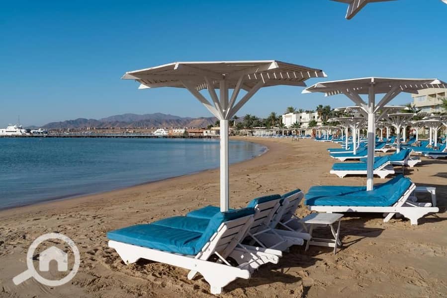 6 558766747_813528771196583_5066870499196969113_n. jpg