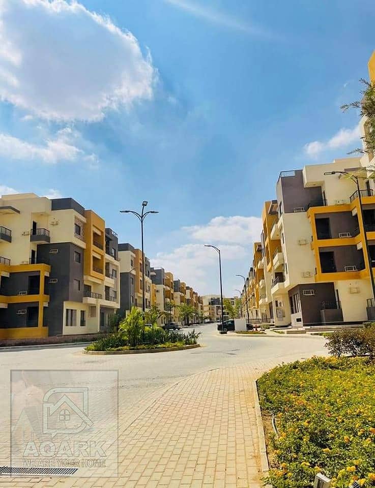 2 385856843_267259992963063_164737029204998519_n. jpg