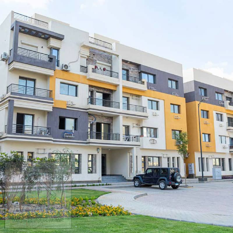 4 387851354_122129078282023937_2565008040811819607_n. jpg