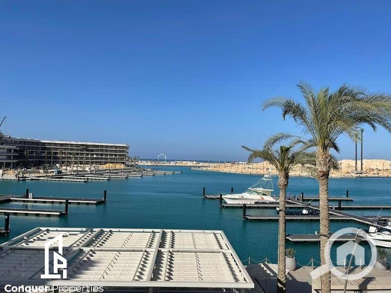 Untitled design - 2023-10-23T164135.809 - Copy - Copy - Copy. png