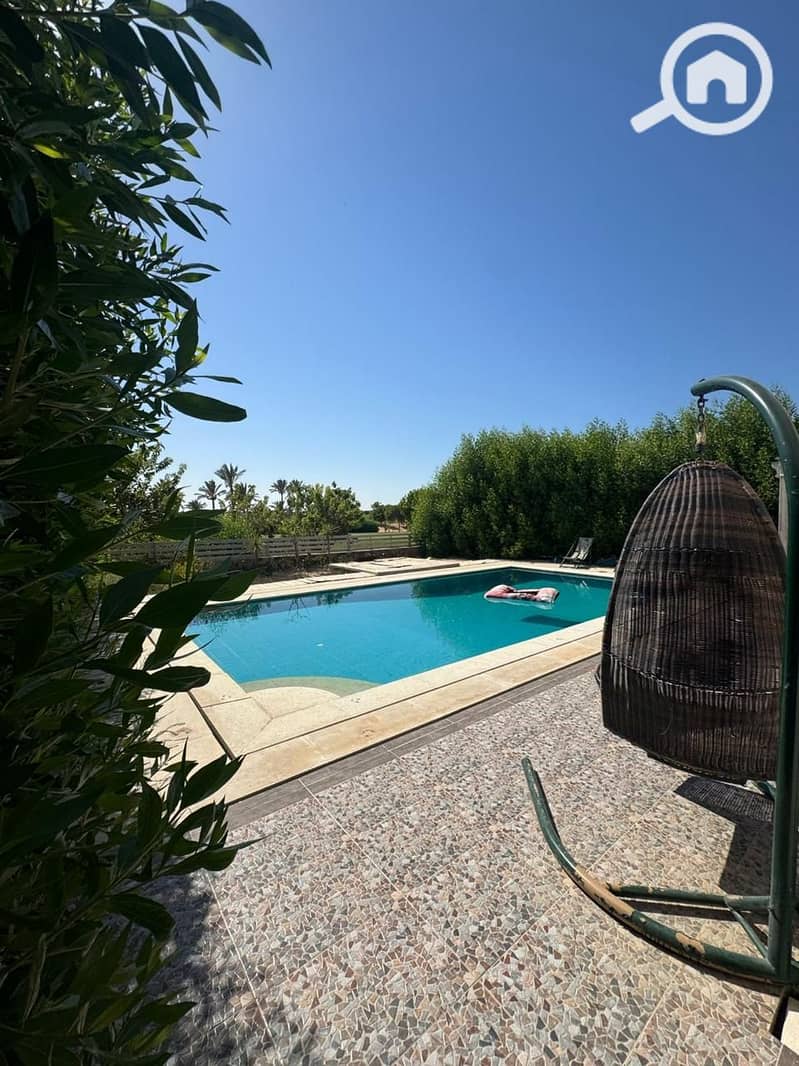 2 12a2584d-04ab-48ff-b85b-f72213a45ba7. jpeg