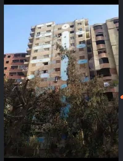 Residential Land for Sale in Nasr City, Cairo - عمارة رائعة للبيع في زهراء مدينة نصر