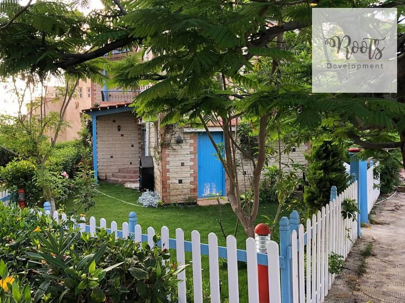 4 WhatsApp Image 2025-11-18 at 11.02. 28. jpeg