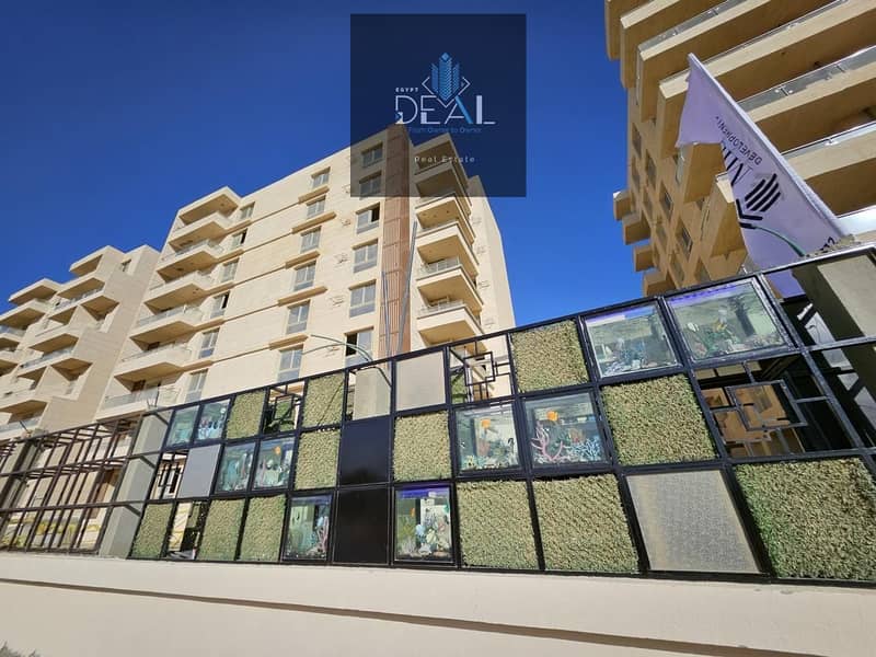 13 dbe040da-51ab-4c3b-97f7-46884dbf0d4f. jpeg