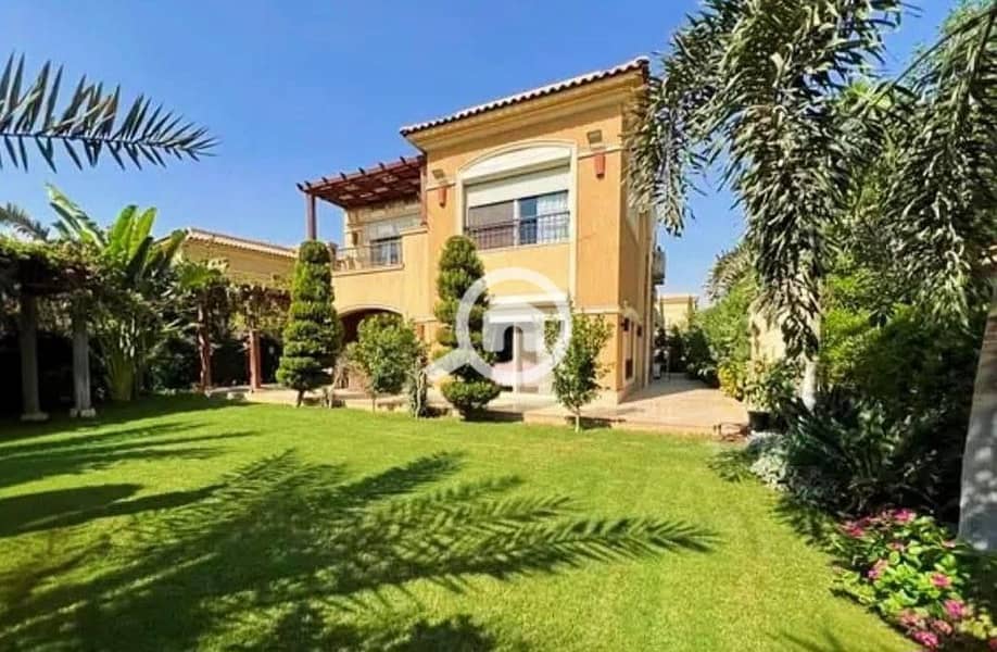 3 FB_IMG_1750163813179. jpg