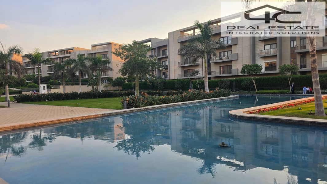 2 20251117_162325. jpg