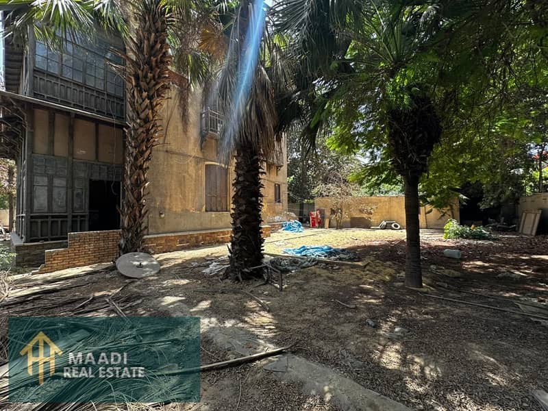 11 IMG-20251113-WA0268. jpg