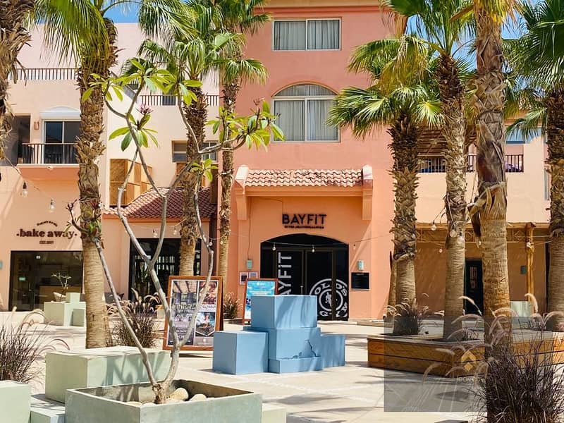 5 7b892b83-0a86-4818-a4da-a1bedcf0cb27. jpg