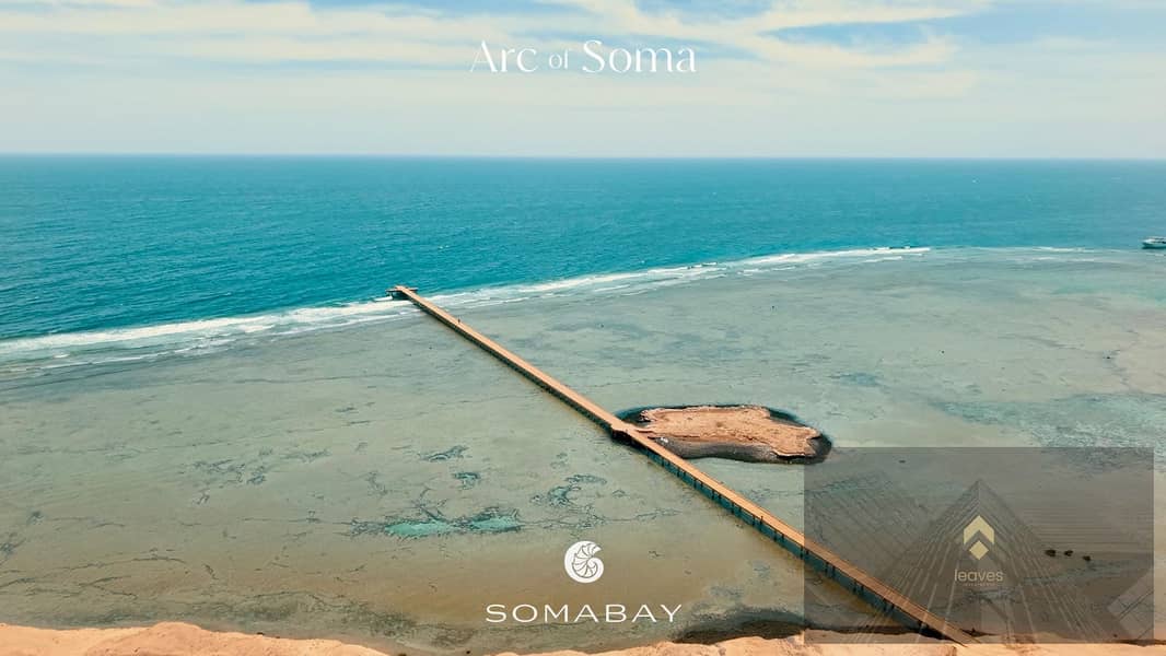 6 7f6bd2b9-83bc-4b49-8864-8bbac7be0789. jpg