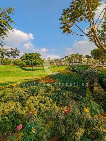 4 584341723_3060657634121943_8673948921656072109_n. jpg