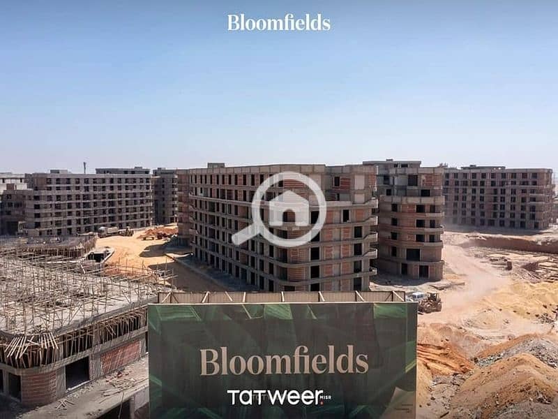 4 WhatsApp Image 2024-07-16 at 16.05. 00_8383b90a. jpg