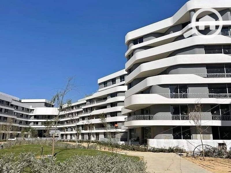 5 WhatsApp Image 2024-07-16 at 16.05. 03_29bad908. jpg