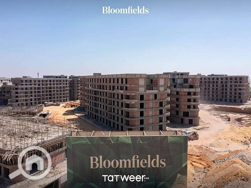 4 IMG-20231031-WA0093. jpg