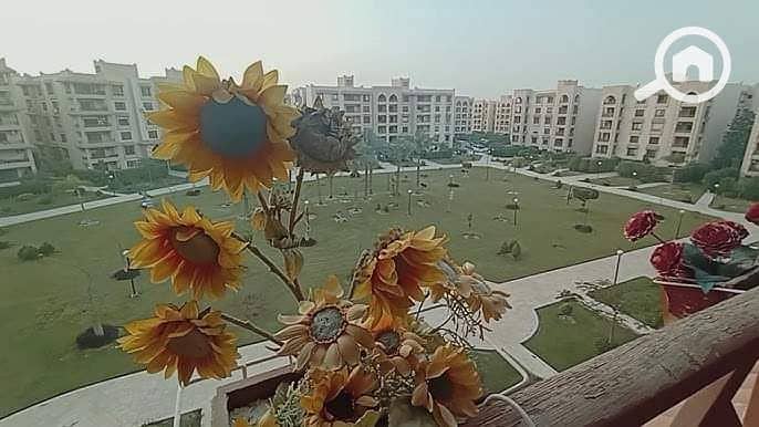 7 7aa47d6f-bc85-4569-b41b-821cb47406af. jpeg