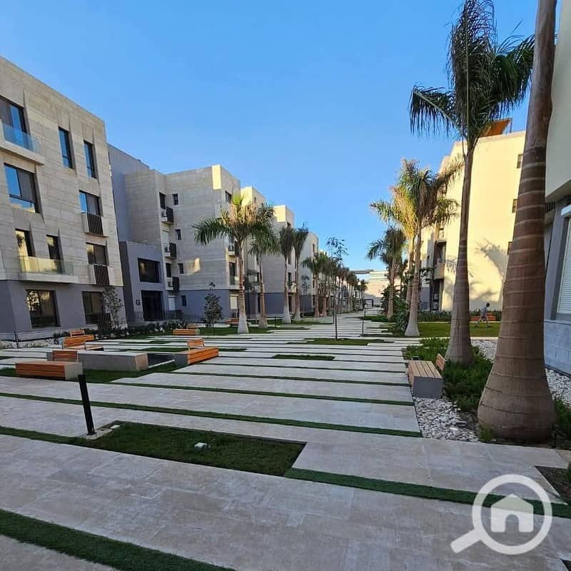 9 482810608_122145728186565108_6686977836746222527_n. jpg