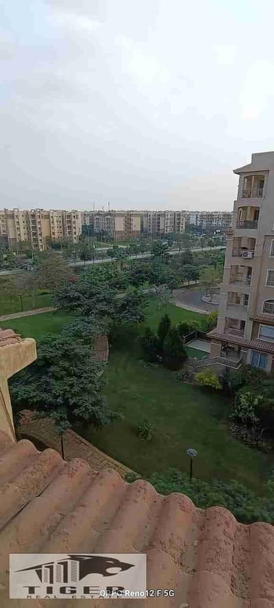 3 Bedroom Flat for Sale in Madinaty, Cairo - 1000051919. jpg 3 Bedroom Flat for Sale in Madinaty, Cairo - 1000051919. jpg