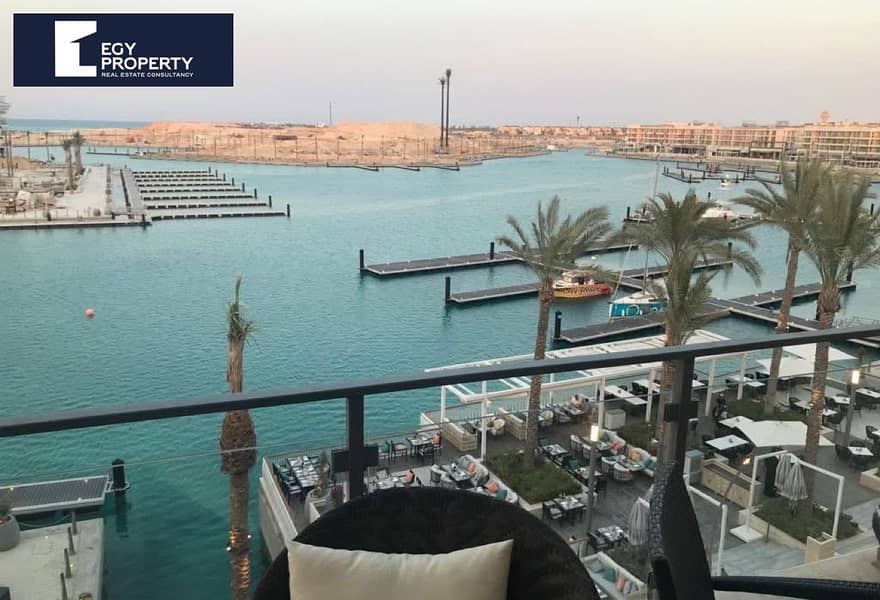 5 8e04bd92-fc0b-46a7-acee-9911ed433763 (1). jpg